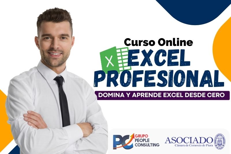 EXCEL PROFESIONAL 13 en 1+Dashboard